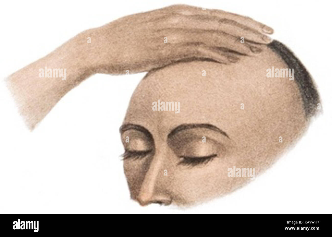 Sundhya The Sundhya Plate 19 Fig 4 Stock Photo - Alamy