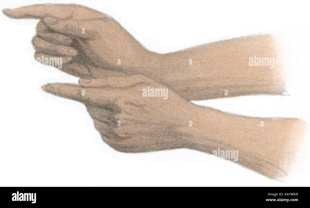 Sundhya The Sundhya Plate 18 Fig 3 Stock Photo - Alamy