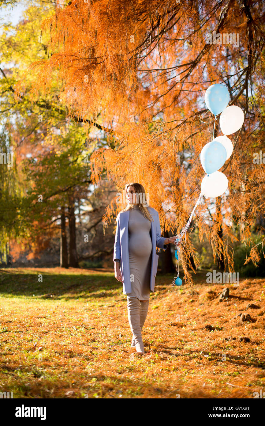 Pretty young pregnant woman with balloons in the autumn park Stock ...