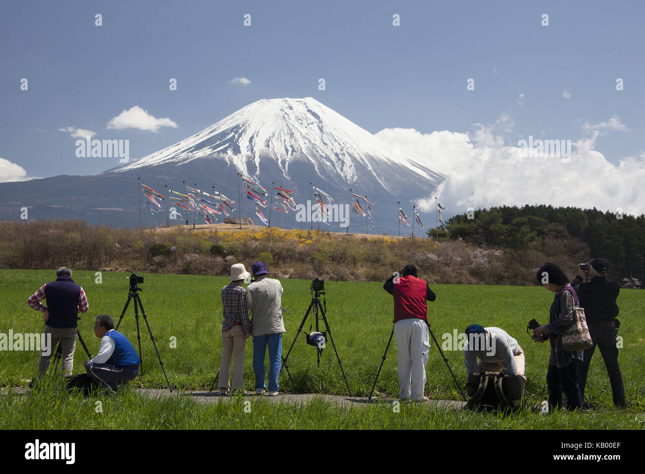 Japan, photographer, childrens festival, Koinobori, Mount Fuji, Stock Photo