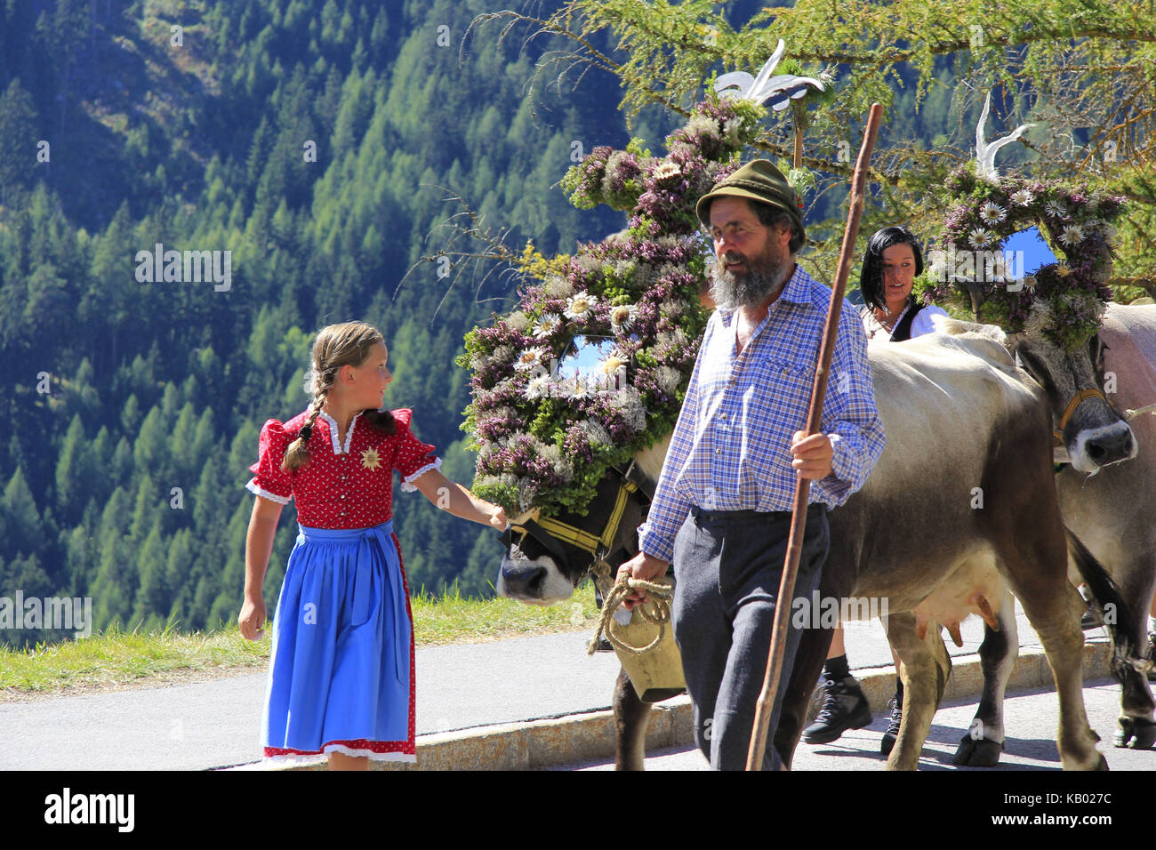 Almabtrieb (ceremonial driving down of animals from the mountain pastures into the valley in autumn), Viehscheid in Jerzens, Pitztal, Tyrol, Austria, Stock Photo