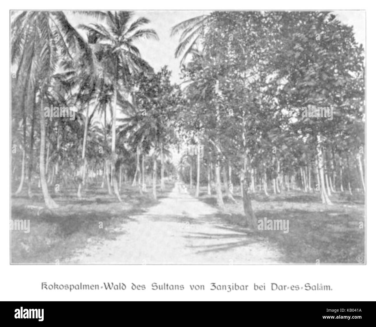 Sultans Black and White Stock Photos & Images - Alamy