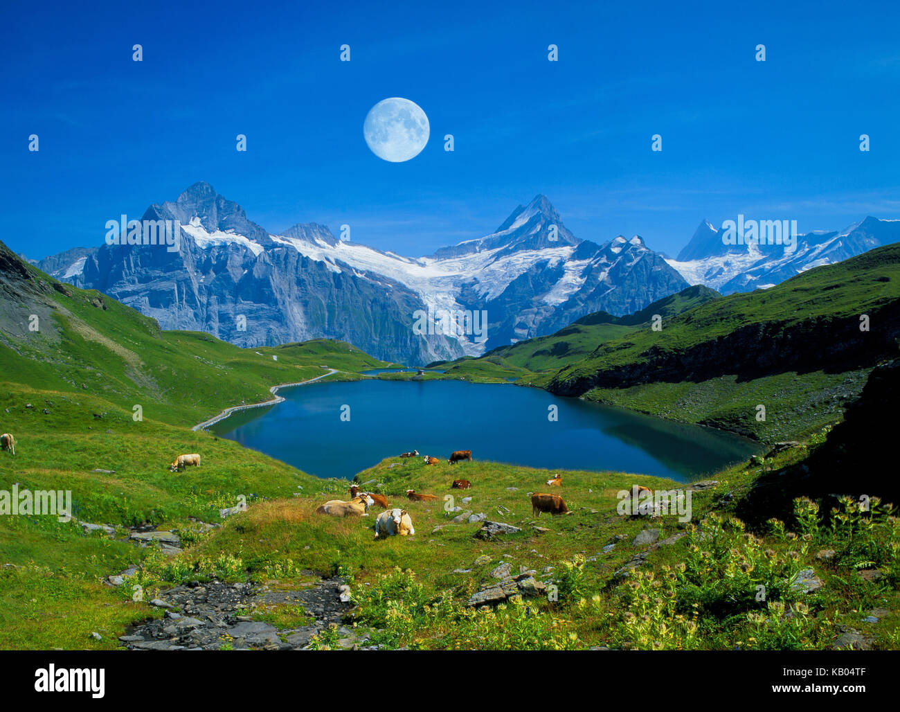 Bachalpsee with Wetterhorn and Schreckhorn, Stock Photo