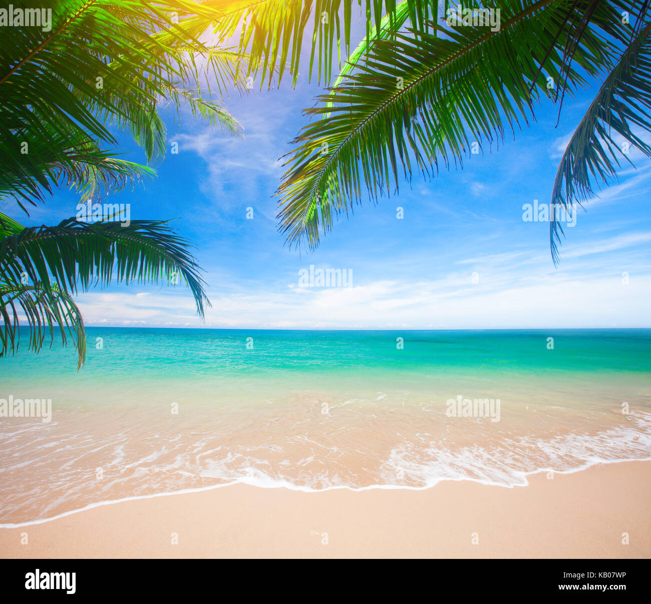 Palm and tropical beach Stock Photo - Alamy