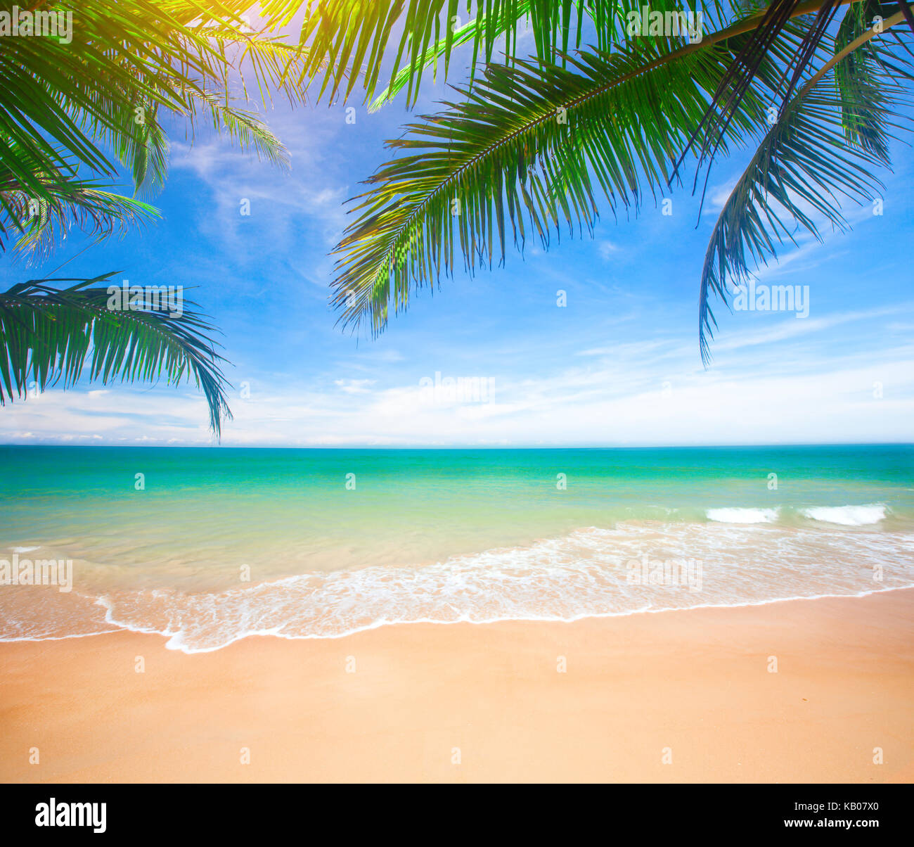 Palm and tropical beach Stock Photo - Alamy