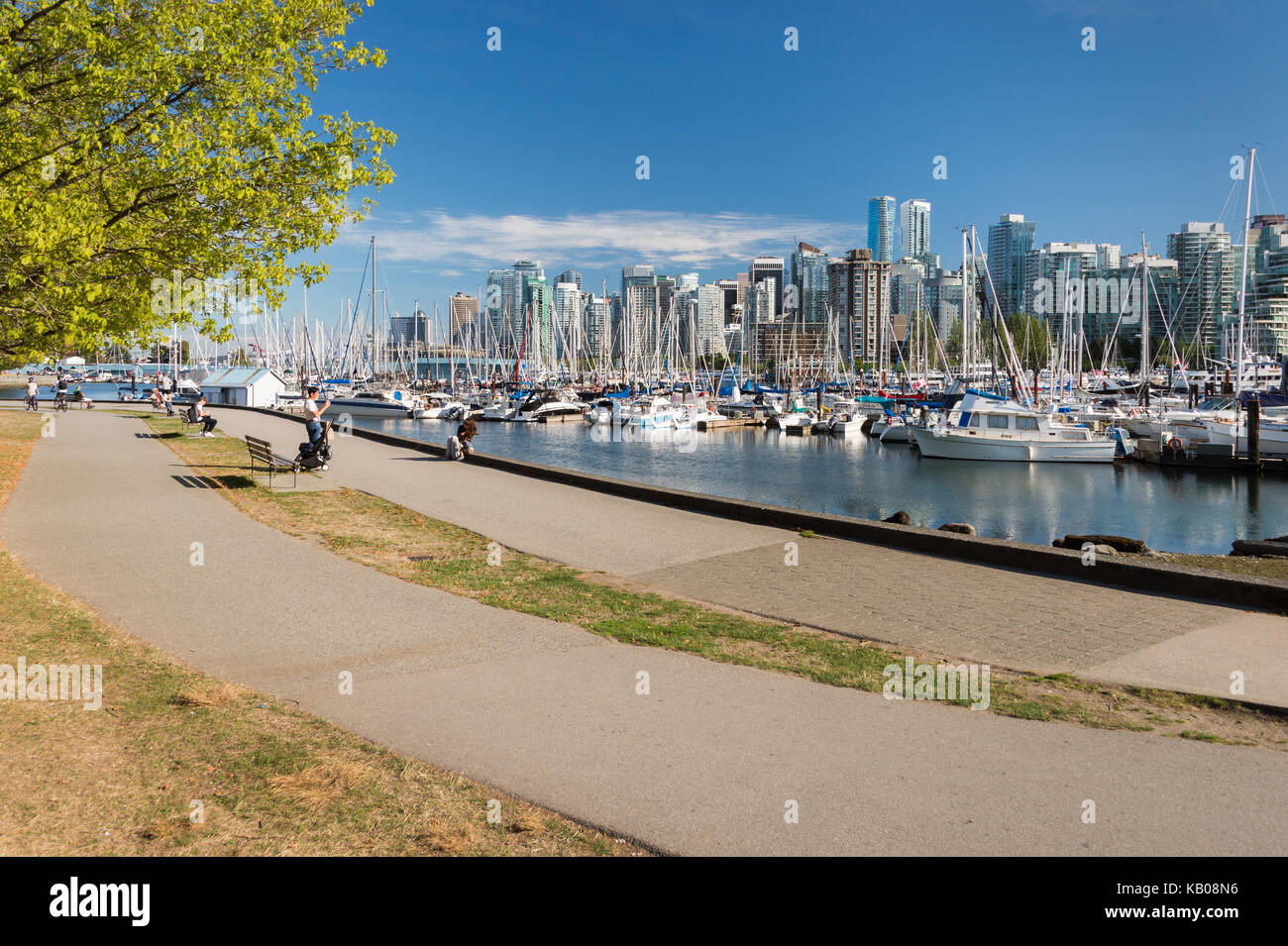 Vancouver, British Columbia, Canada - 12 September 2017: Vancouver Skyline From Stanley Park Stock Photo