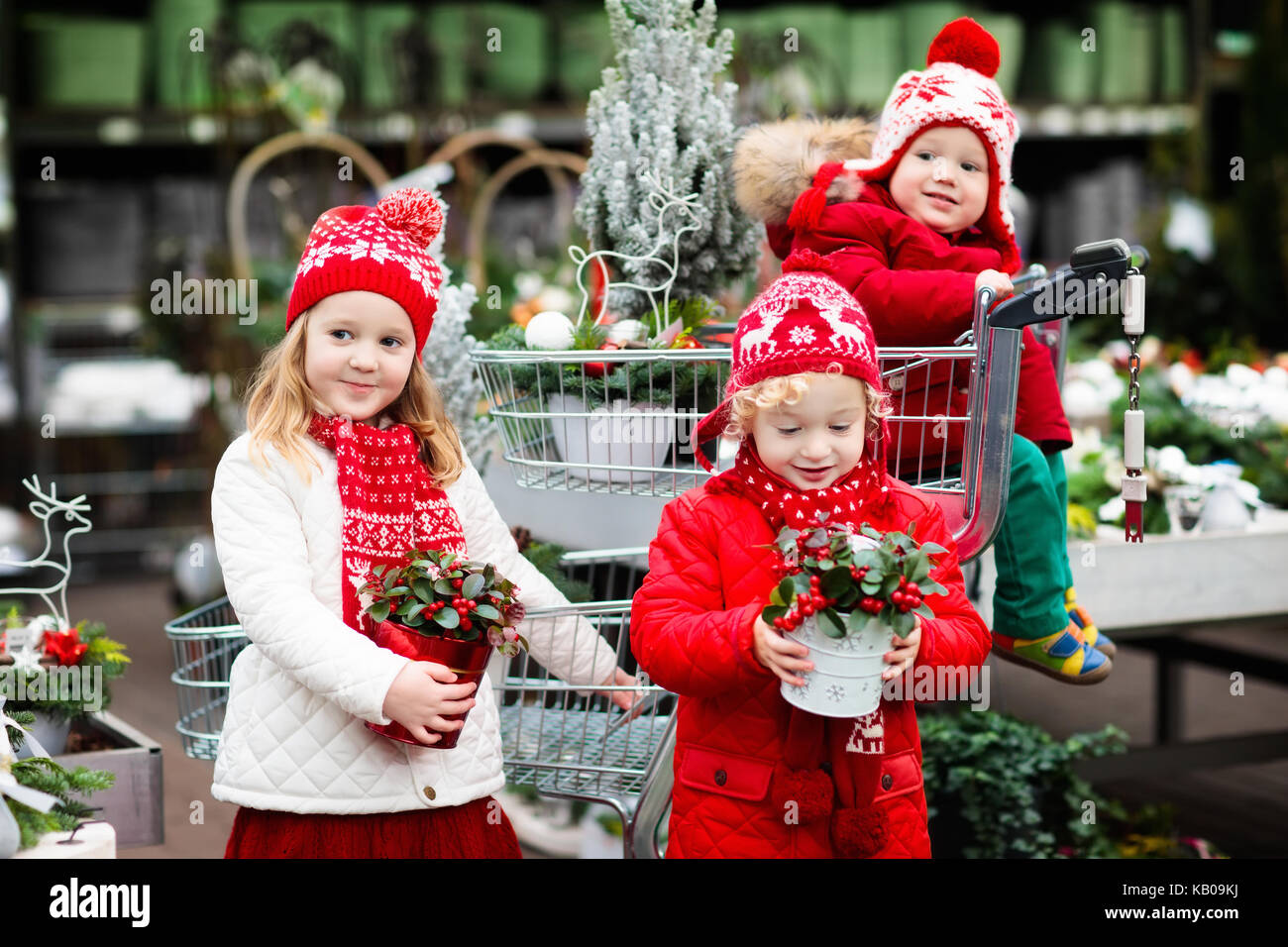 Family selecting Christmas tree. Kids choosing freshly cut Norway Xmas tree at outdoor lot. Children buying gifts at winter fair. Boy and girl shoppin Stock Photo