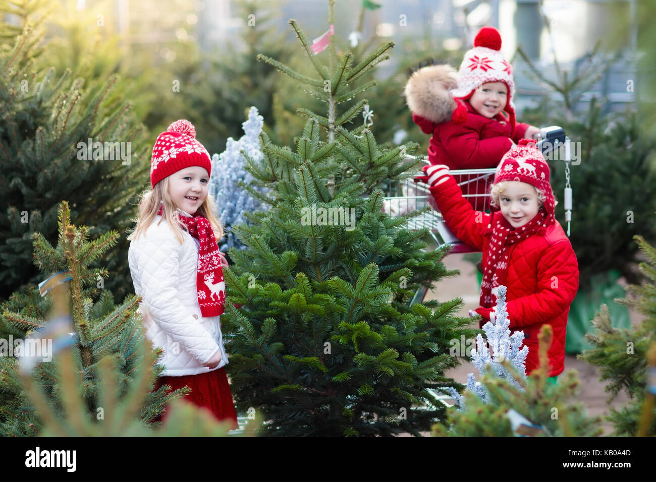 Family selecting Christmas tree. Kids choosing freshly cut Norway Xmas tree at outdoor lot. Children buying gifts at winter fair. Boy and girl shoppin Stock Photo