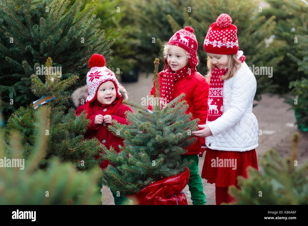 Family selecting Christmas tree. Kids choosing freshly cut Norway Xmas tree at outdoor lot. Children buying gifts at winter fair. Boy and girl shoppin Stock Photo