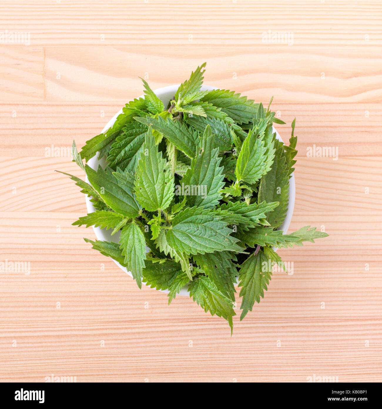 Bowl with fresh nettle leaves Stock Photo Alamy