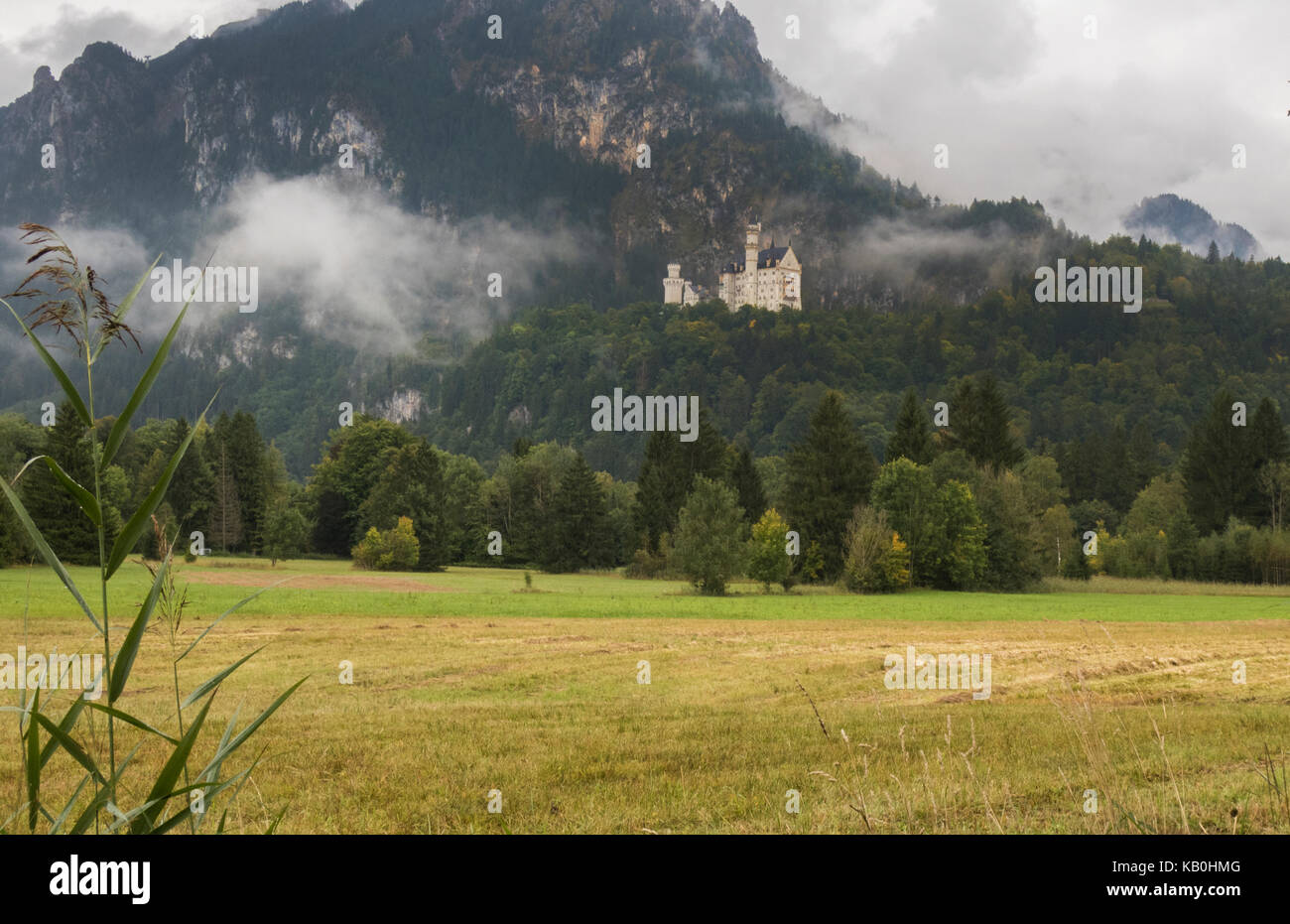 Neuschwanstein Castle of King Ludwig in Germany Europe Stock Photo - Alamy