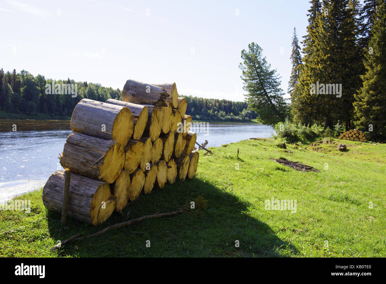 Stacks of spruce firewood in the background of the taiga and the