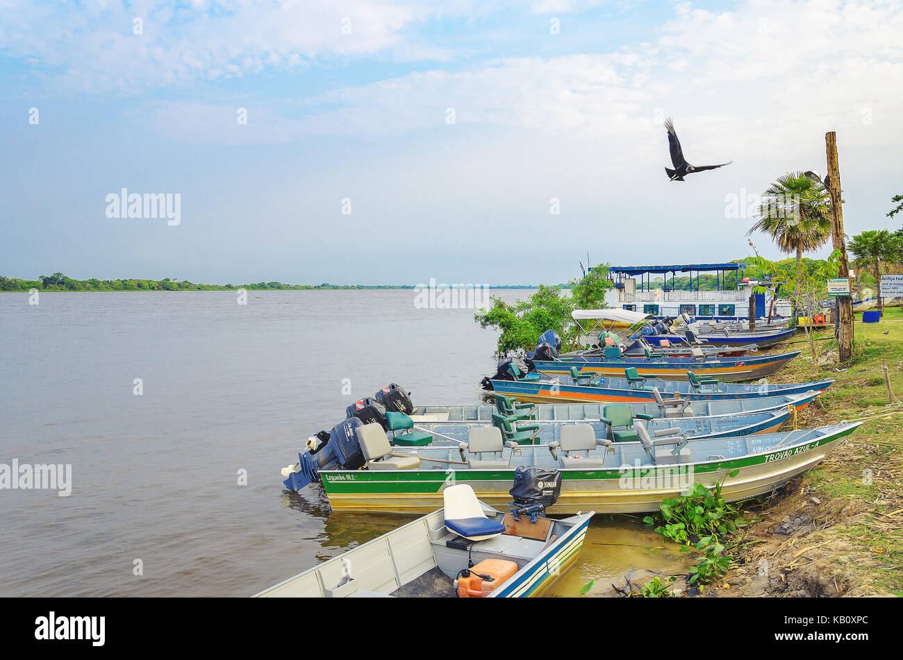 Corumba, Brazil - September 11, 2017: Boats moored in Porto Morrinho with green vegetation and the Paraguai river on background. Fishing boats and for Stock Photo