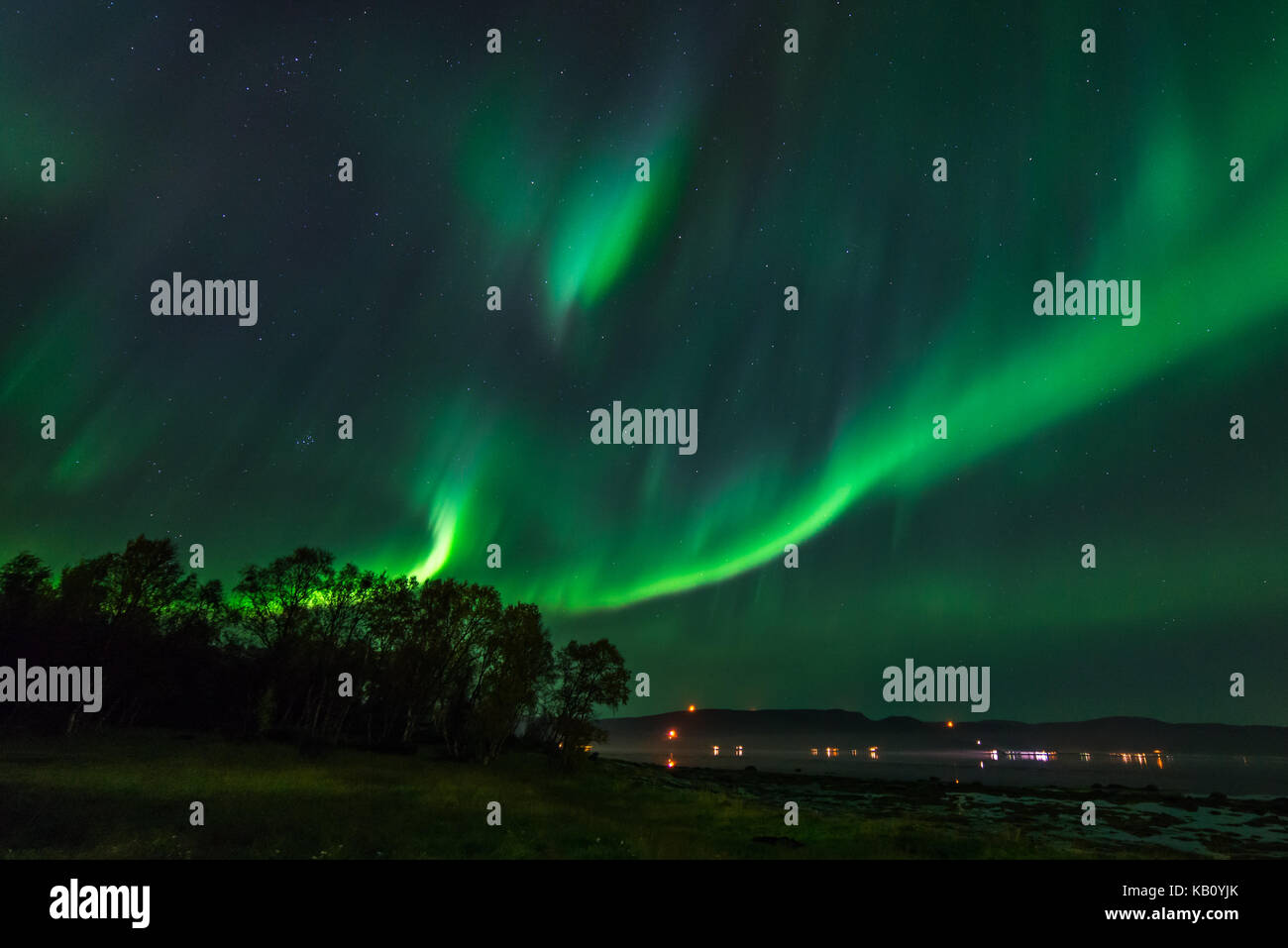 Northern lights, above Alta fjord, in Alta, Finnmark Norway, nordlys, northern lights in alta, Stock Photo