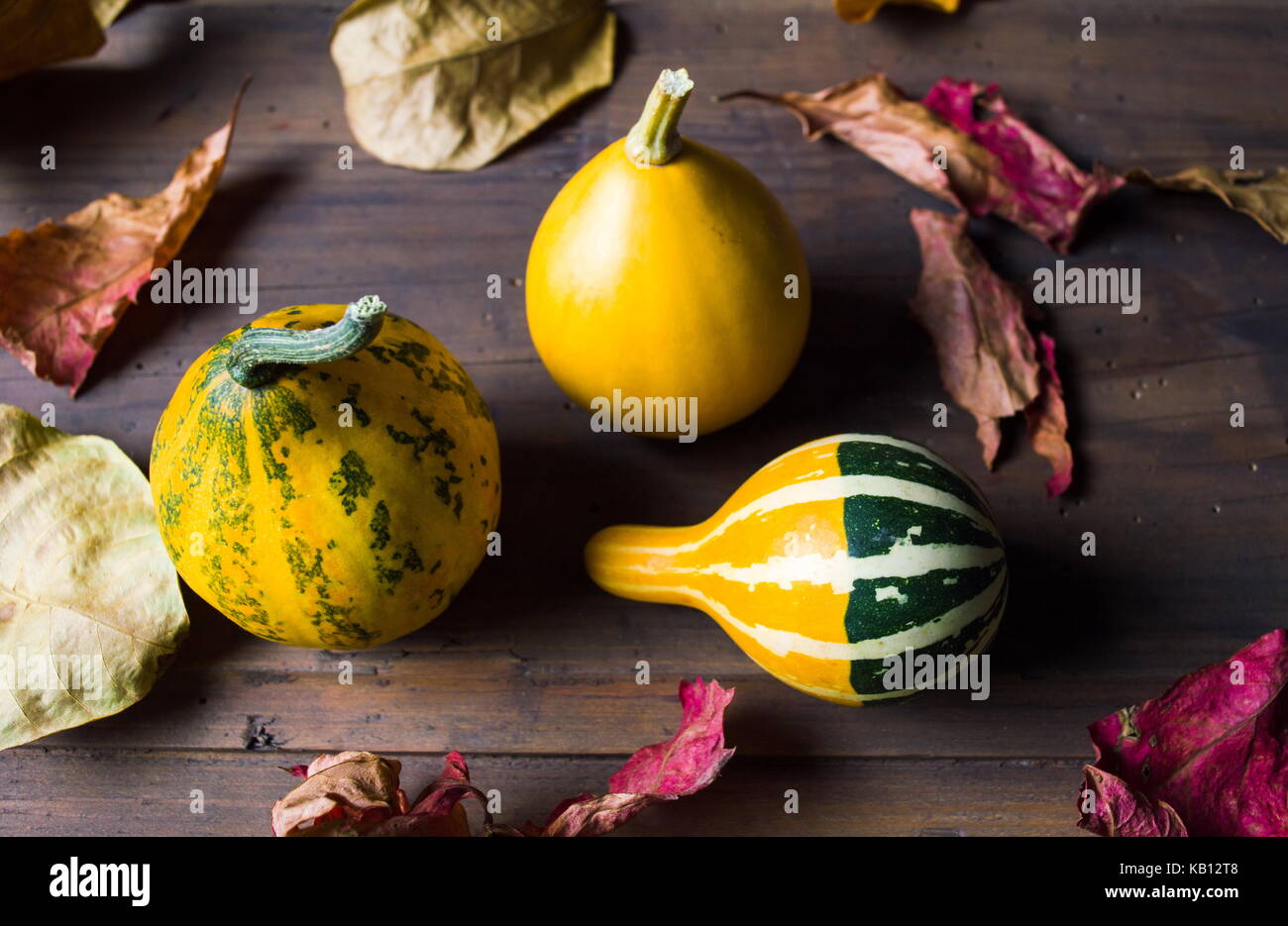 Decorative pumpkins and dry autumn leafs.fall background Stock Photo ...