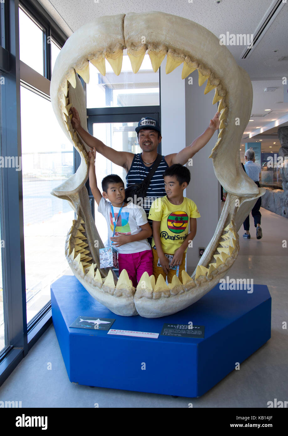 Prehistoric Shark Teeth On Display At Kaiyukan Aquarium Kansai Region Osaka Japan Stock Photo Alamy