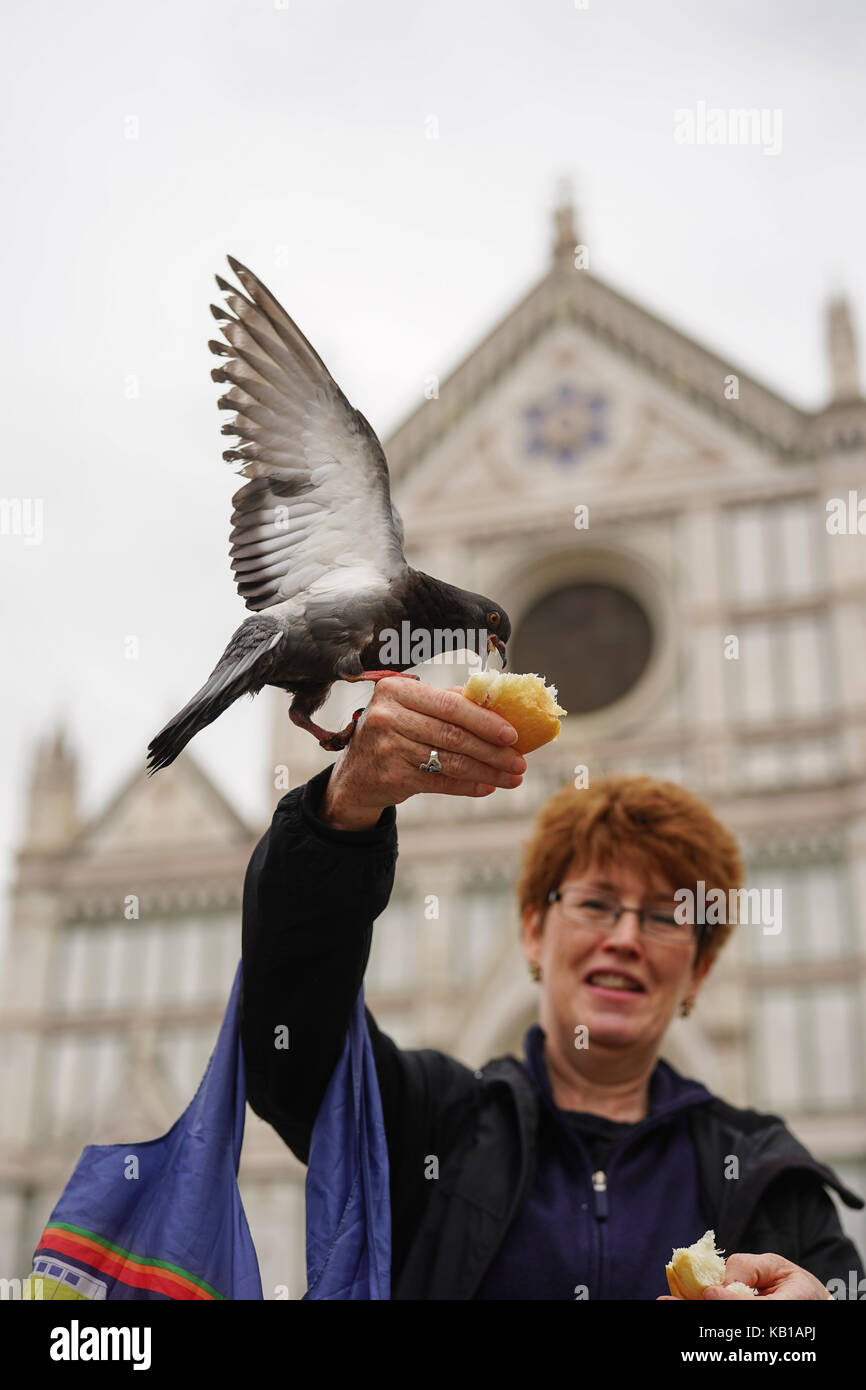 A tourist feeding a pigeon in Florence in Italy. From a series of travel  photos in Italy. Photo date: Monday, September 18, 2017. Photo credit  should Stock Photo - Alamy