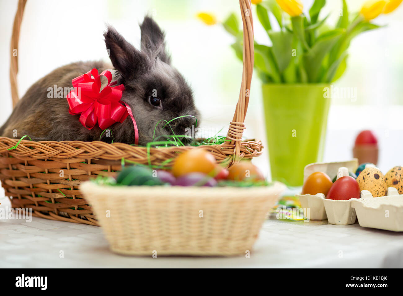 Easter decoration with eggs and bunny Stock Photo - Alamy