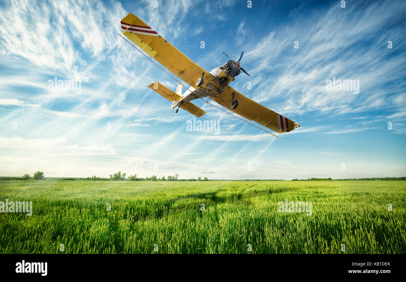 Agriculture, low flying yellow plane sprayed crops in the field Stock Photo