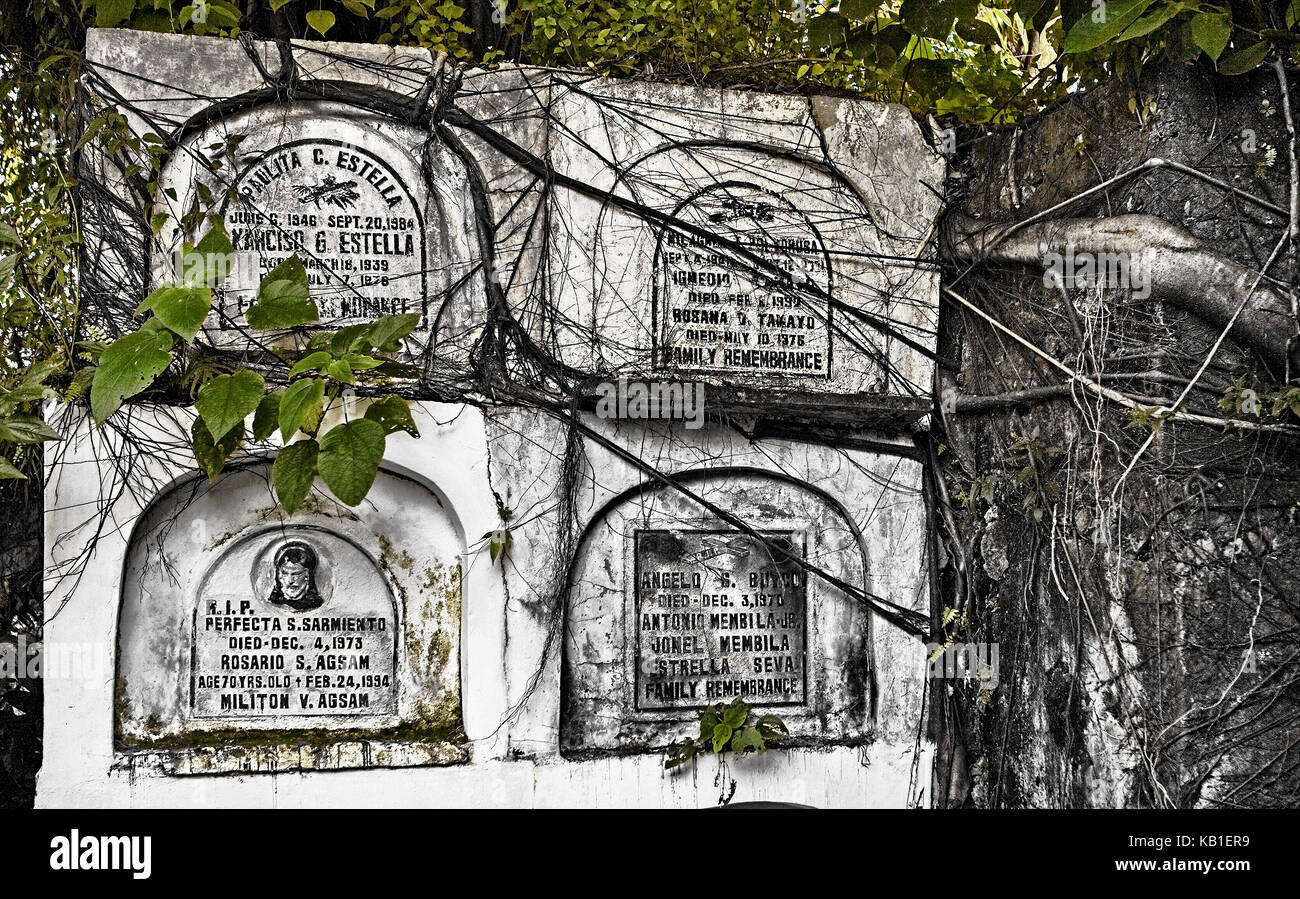 Bacolod City, Negros Oriental, Philippines - March 2, 2012: Four above ground tombs are neglected and are becoming overgrown with vegetation in a ceme Stock Photo