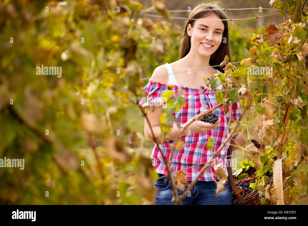 Smiling  young woman in vineyard Stock Photo