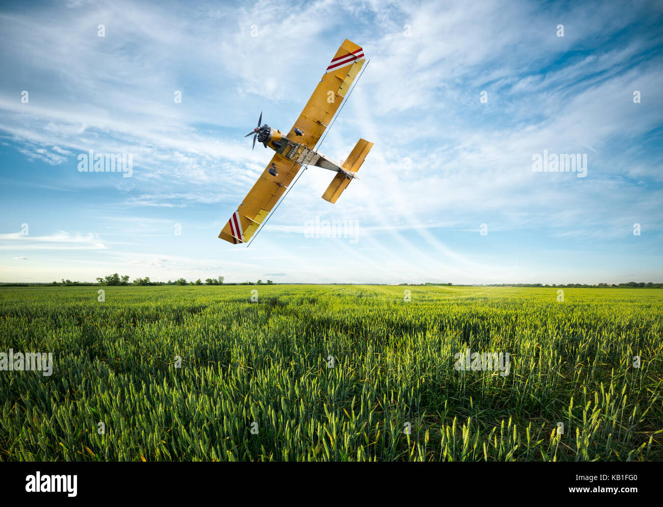 flying yellow plane sprayed crops in the field Stock Photo