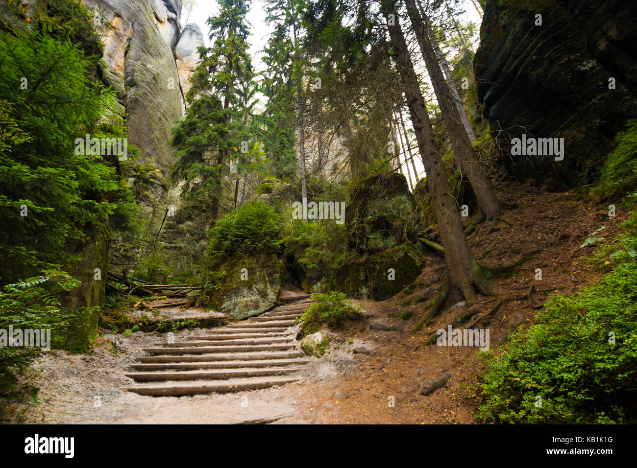 Unique rocks mountain Adrspasske skaly in national park Adrspach in ...
