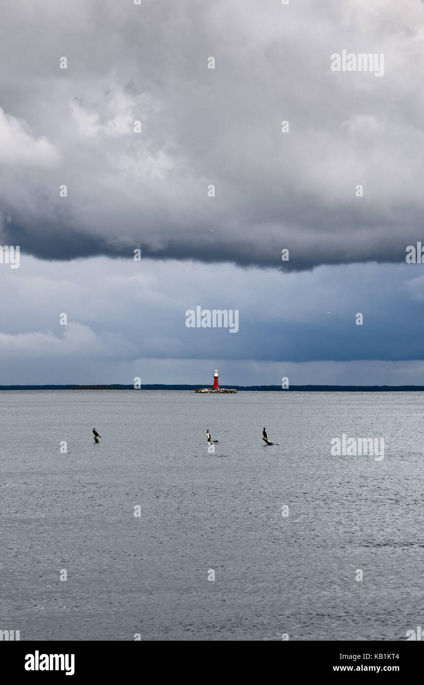 Lithuania, Nida, Smiltyne, cloudied day in the health resort broads bay bar, lighthouse, birds, Stock Photo