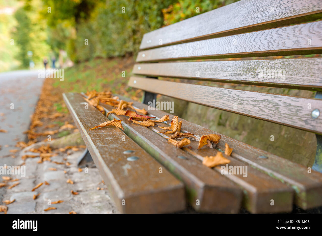 Fallen leaves on the empty bench in a public park Stock Photo
