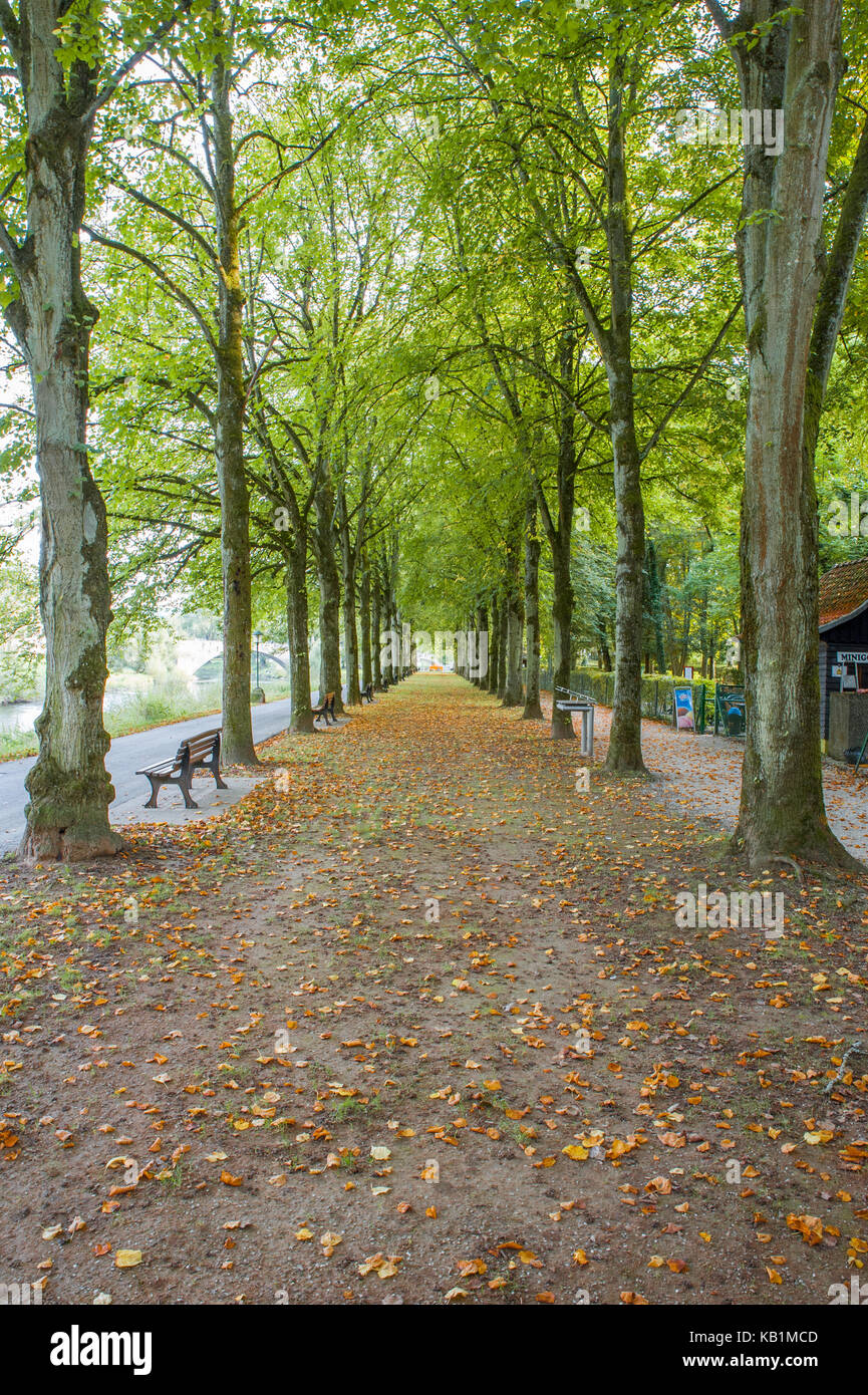 Fallen leaves on the walking path between the trees Stock Photo
