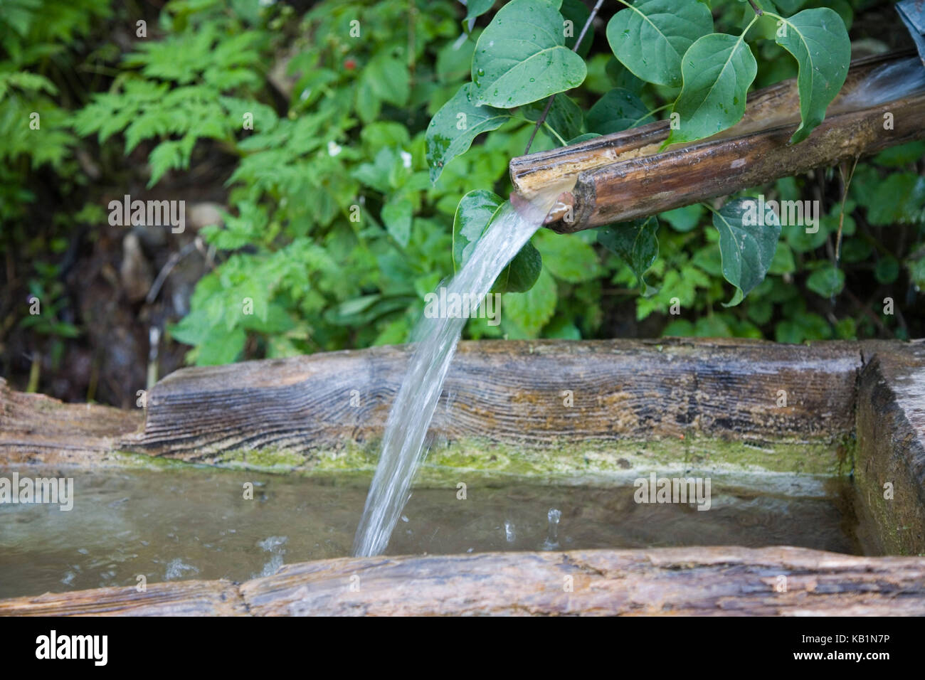 Fresh source water flows into a well of wooden hires stock photography