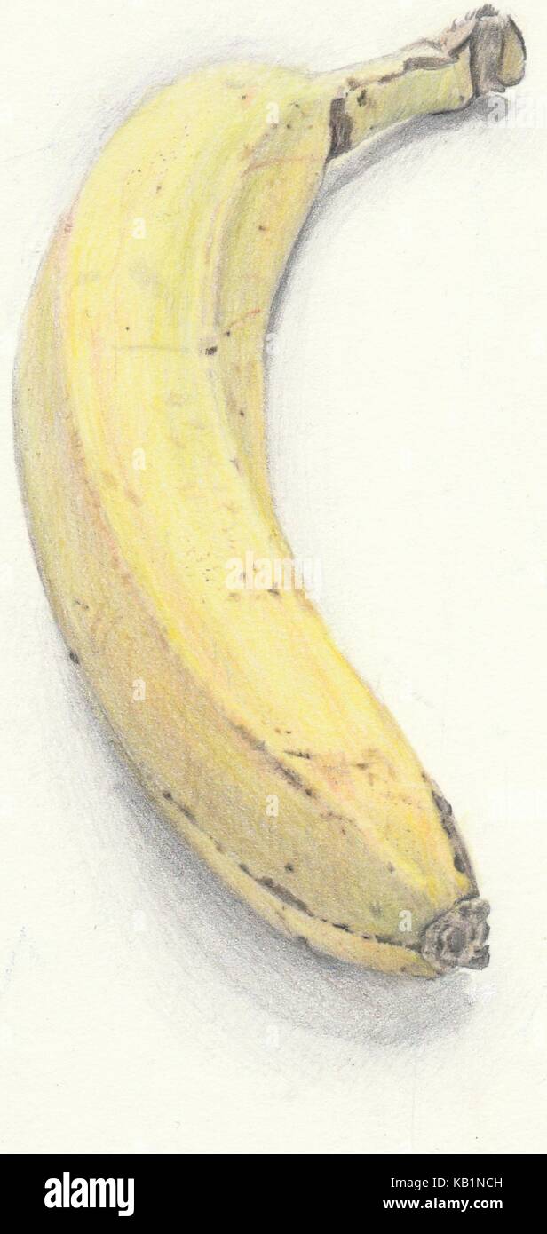 Banane Stock Vector