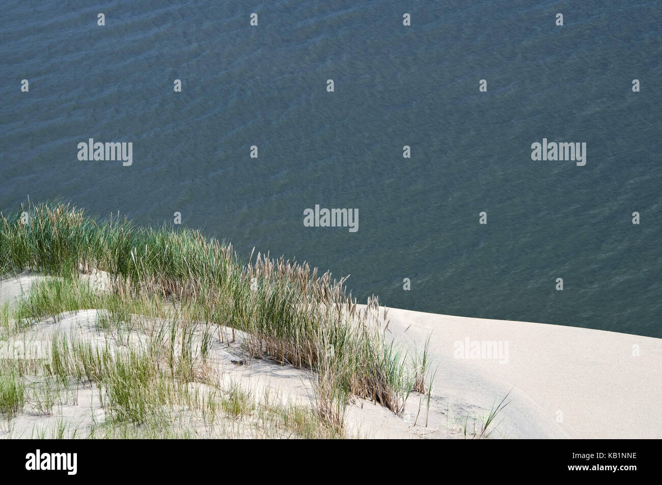 Lithuania, Nida, health resort broad bay bar, coast, Sand dune, grass, Stock Photo