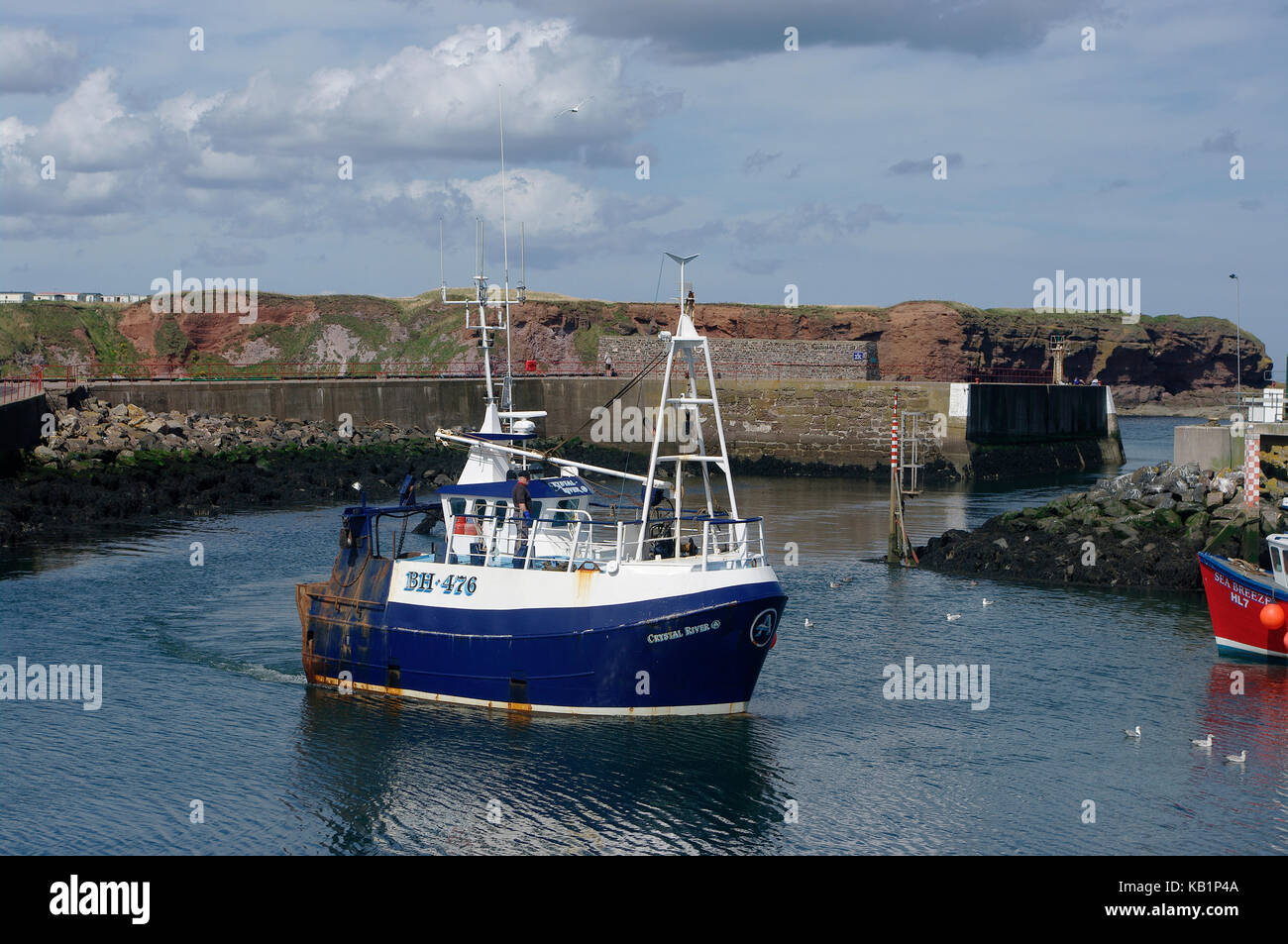 Trawlers at Eyemouth Harbour, Scotland Stock Photo