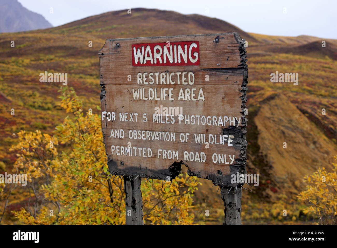 North America, the USA, Alaska, Denali national park, danger signs, Stock Photo