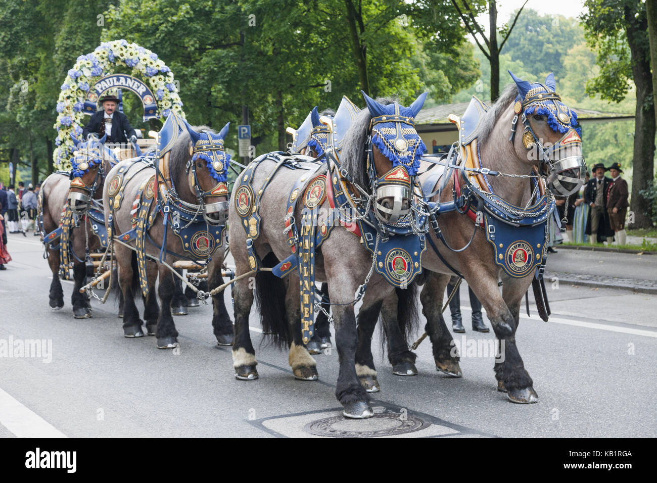 Oktoberfest Parade Horse High Resolution Stock Photography And Images Alamy