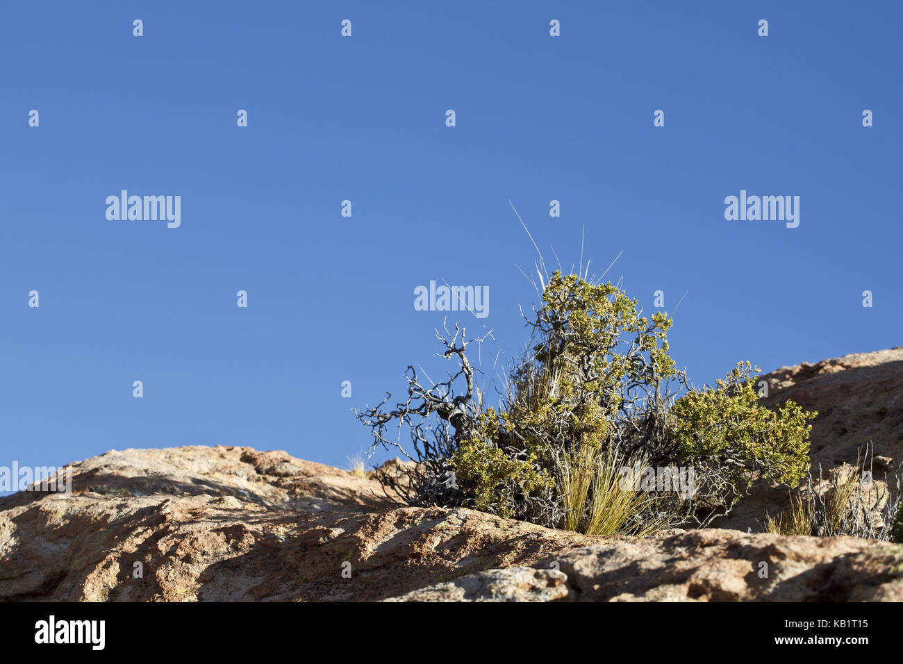 Rocas rocas hi-res stock photography and images - Alamy