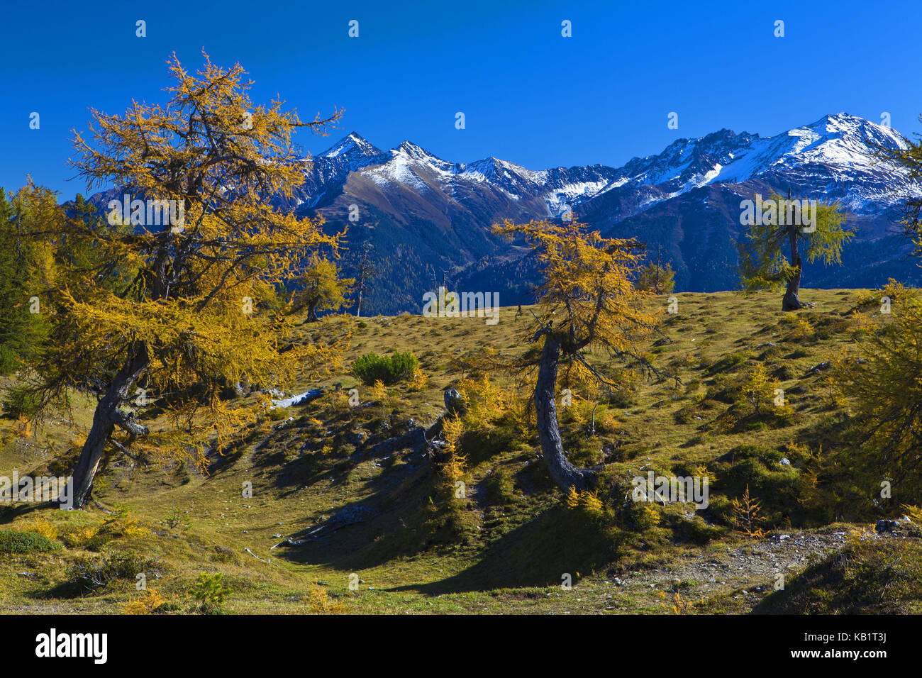 Austria, Tyrol, Mieminger plateau, Obsteig, Simmeringalm, Stock Photo