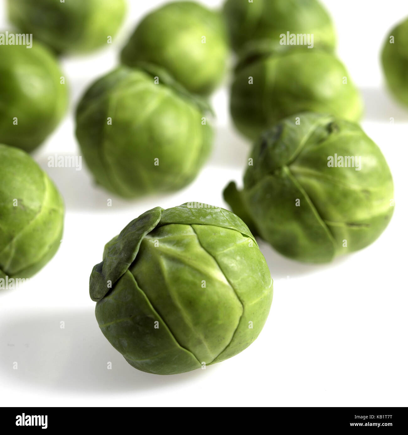 Brussels sprouts, Brassica oleracea, white background, Stock Photo