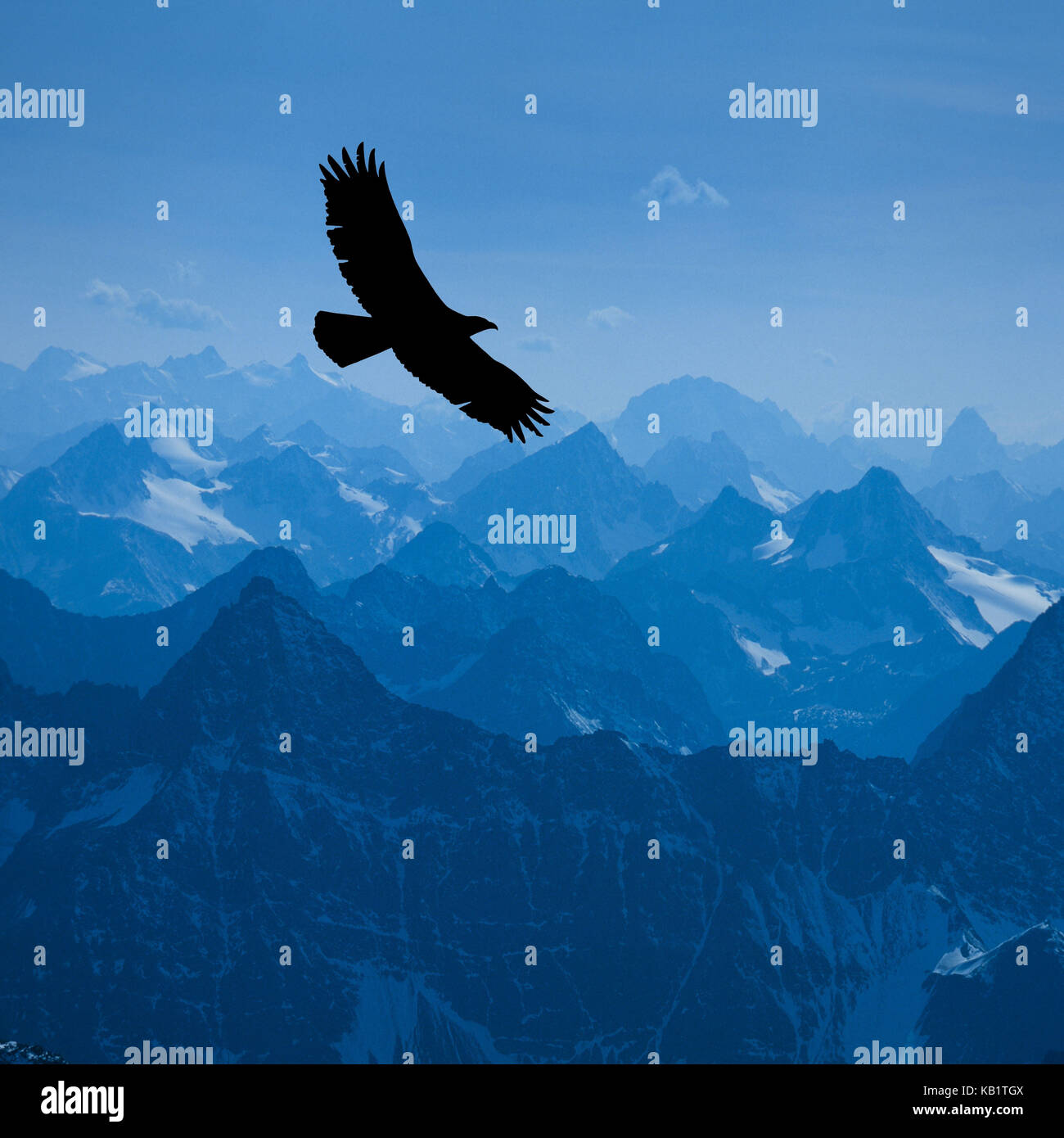 Mountaintop, Piz Buin, panorama, stone eagle, Stock Photo
