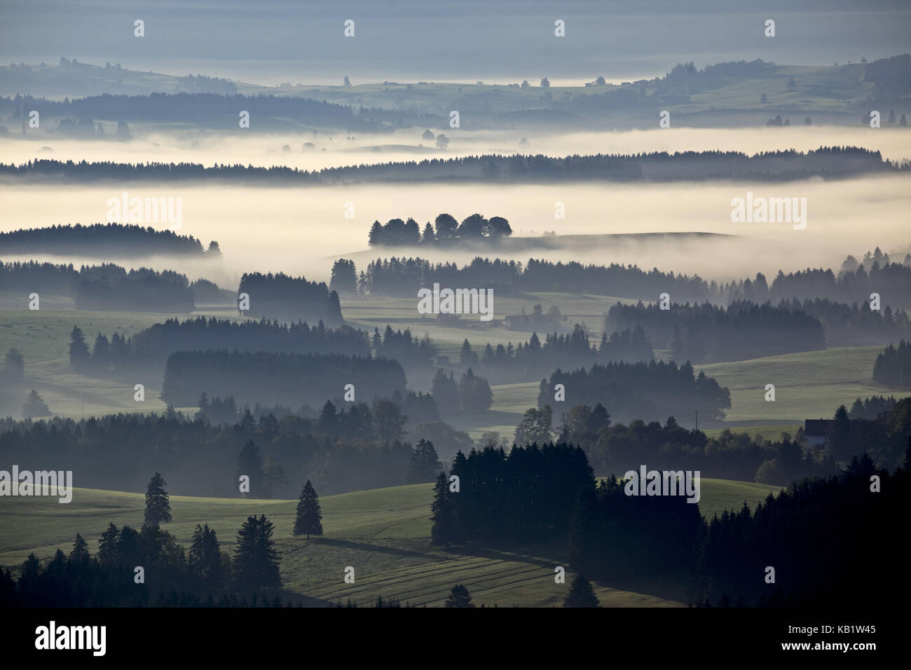 Germany, Bavaria, Allgäu, Ostallgäu district, Königswinkel region, mountain Auer, foothills of the Alps, Stock Photo