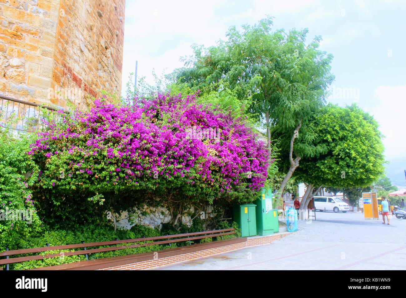Bright thickets at the foot of the Red Tower (Alanya, Turkey). Stock Photo