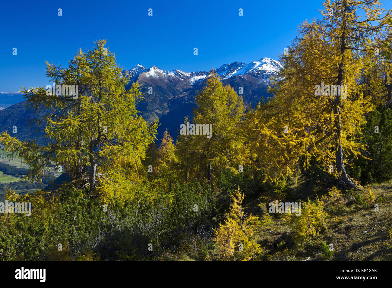Austria, Tyrol, Mieminger plateau, Obsteig, Simmering, Stock Photo