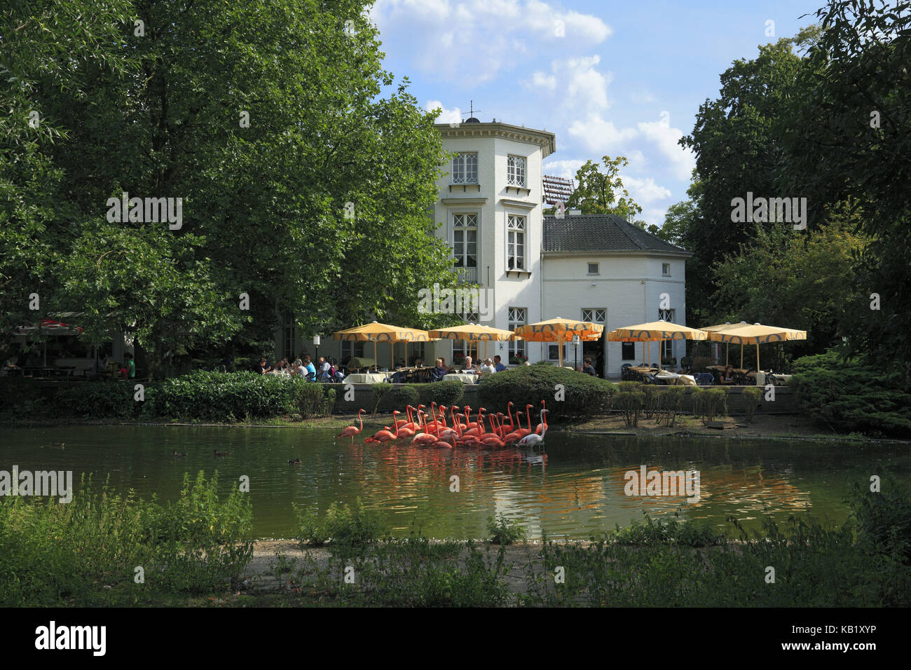 Grotenburgschlösschen in the zoo of Krefeld, the Lower Rhine, North Rhine-Westphalia, Germany, Stock Photo