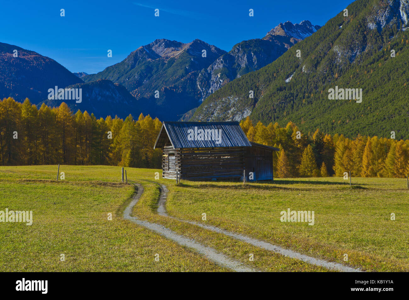 Austria, Tyrol, Mieminger plateau, Obsteig, Holzleiten, Stock Photo