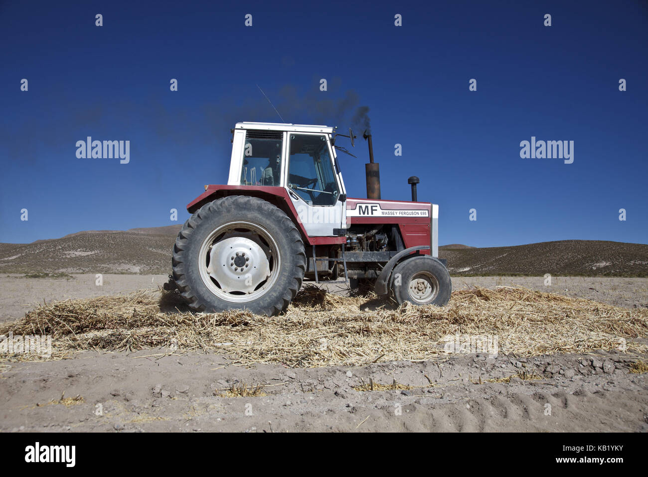Bolivia, Salar de Uyuni, Fairly Trade, quinoa, thrashing while tractor, Stock Photo