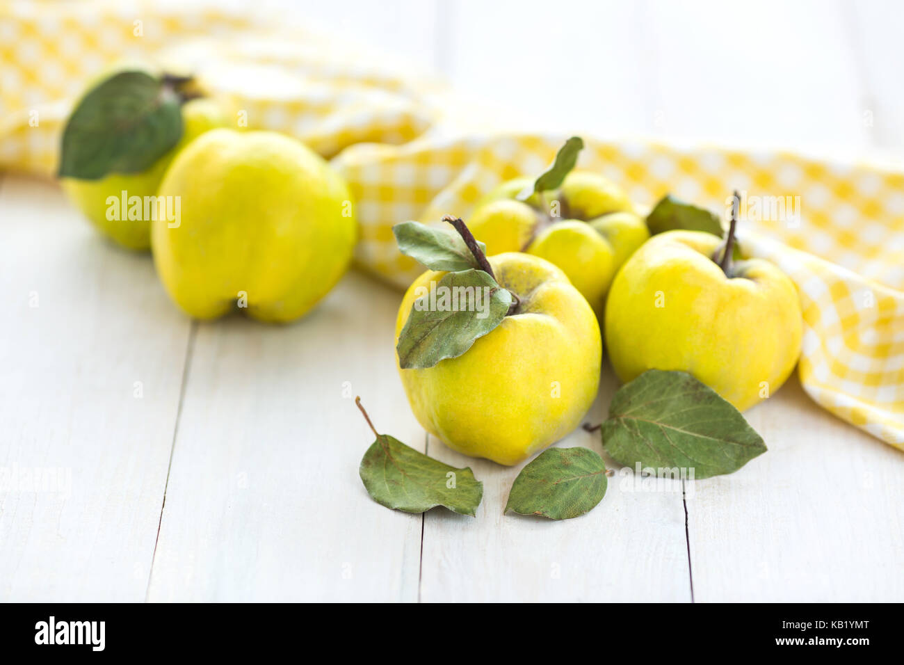 healthy lifestyle, nutrition, autumn concept. on white desk there are extremely bright yellow fruits called quince, that are very healthy, contains a lot of vitamins Stock Photo