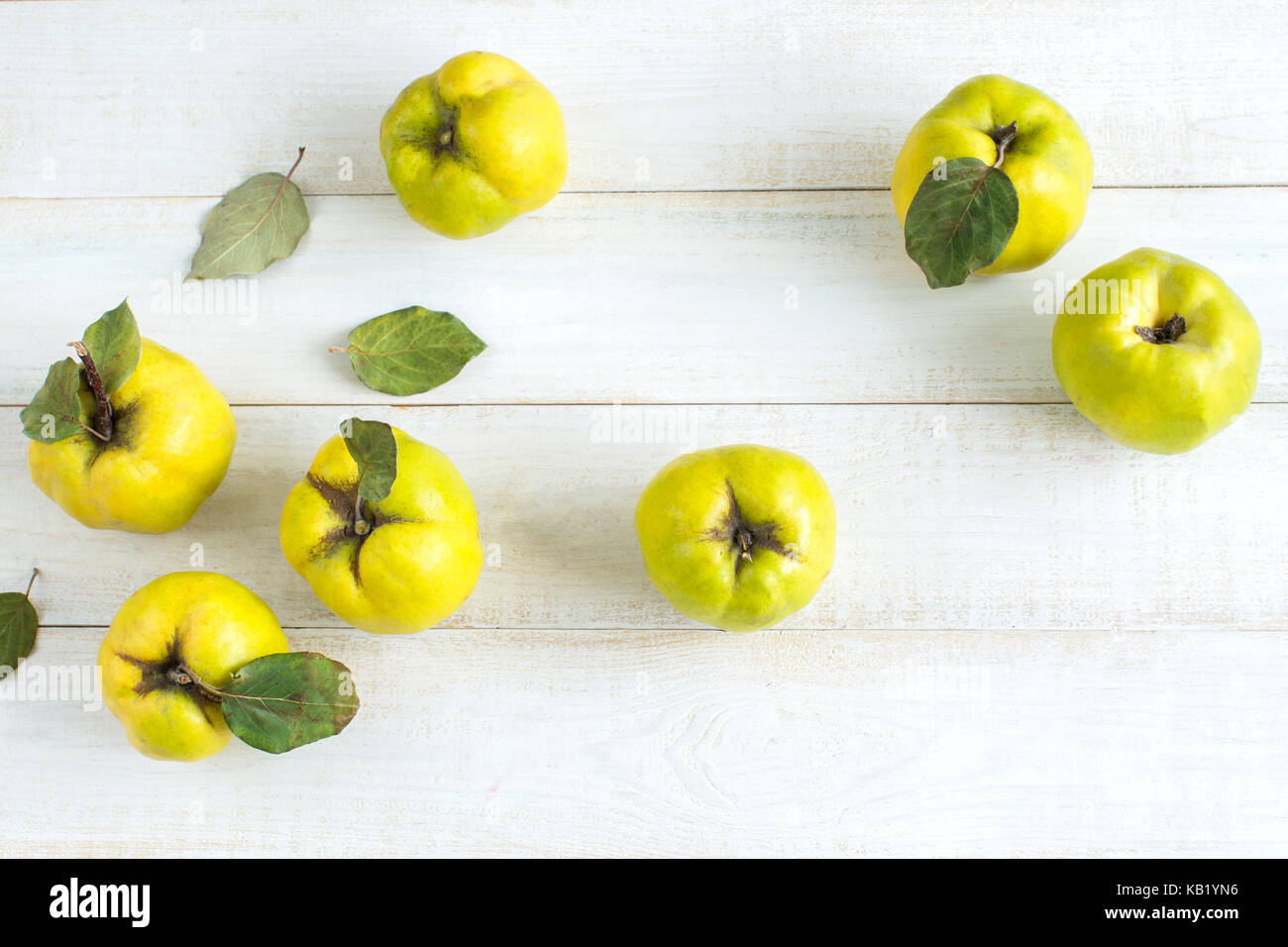 healthy lifestyle, nutrition, treatment concept. top view of lemon yellow fruits picked up from quince tree, they are lying on the table of perfect white surface of table Stock Photo