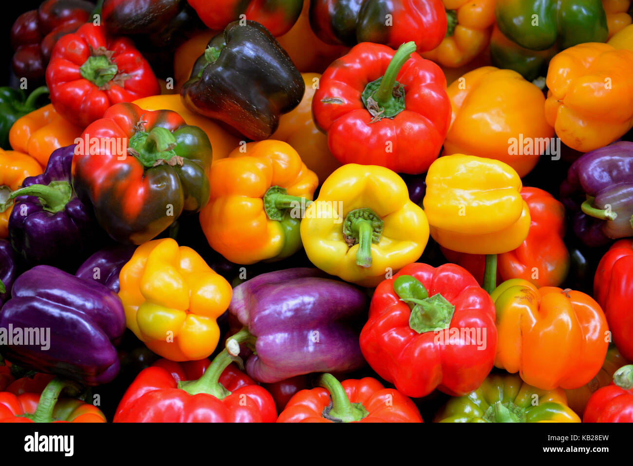 Colorful Bell Peppers, Farmer's Market Stock Photo - Alamy