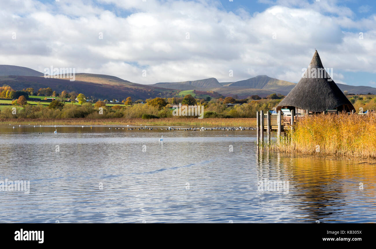 Llangorse Lake ( Llyn Syfaddon) and a reconstructed Crannog, Brecon Beacons National Park Stock